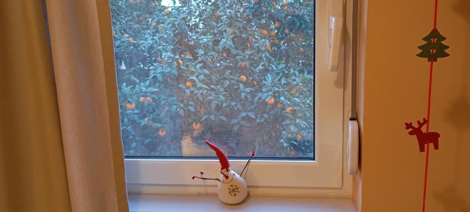 Polyxeni Lägenhet Aten Exteriör bild